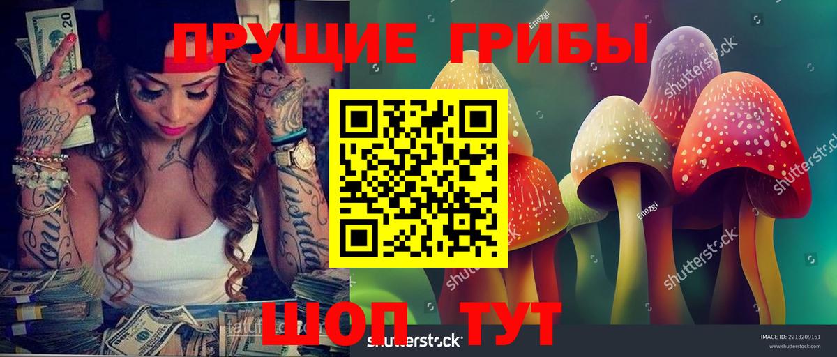 Псилоцибиновые грибы прущие грибы  Вход с VPN  Галлюциногенные грибы ЛСД  Чернушка 